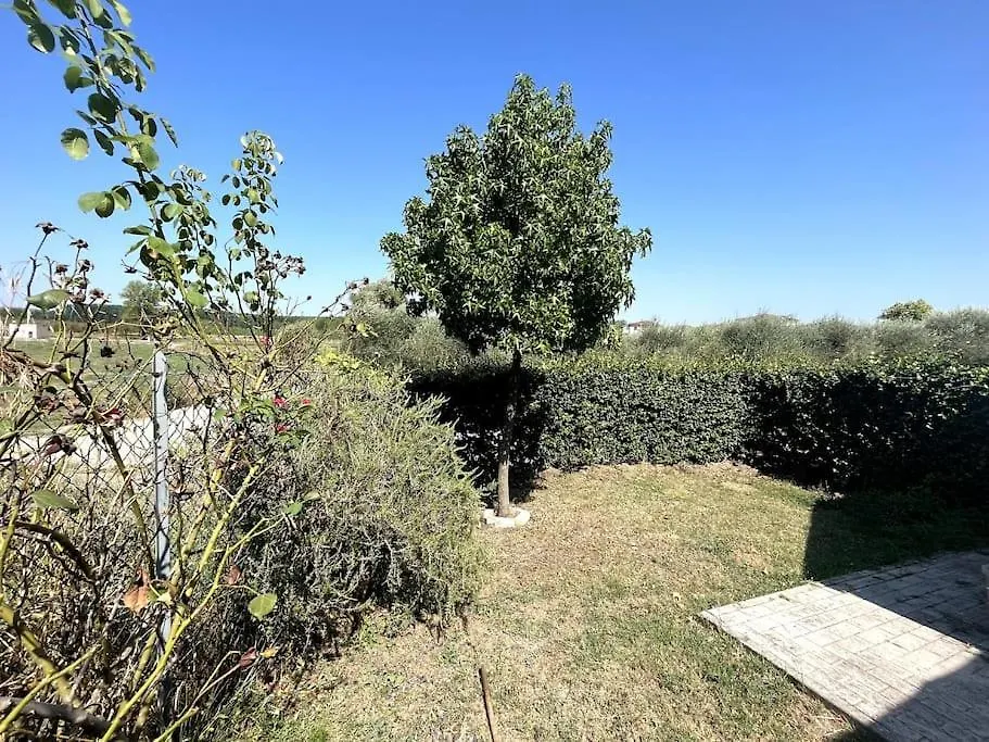 La Toscanella-Casa Con Giardino Privato Apartment Selvatelle Italy